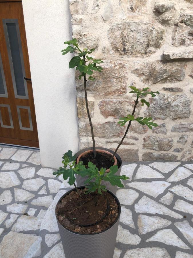 Old Town Apartment Tonka Hvar Town Esterno foto